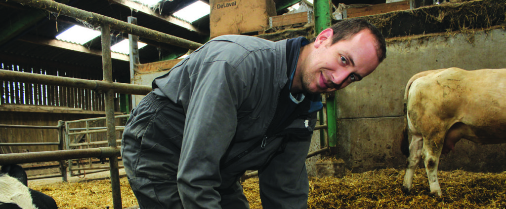 Les éleveurs Laitiers Des Flandres Construisent Leur Avenir Jeunes Agriculteurs
